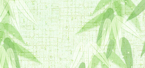 Why Choose Bamboo Fiber Fabric